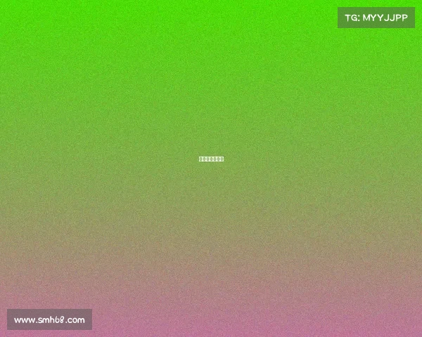 电竞技术流小说